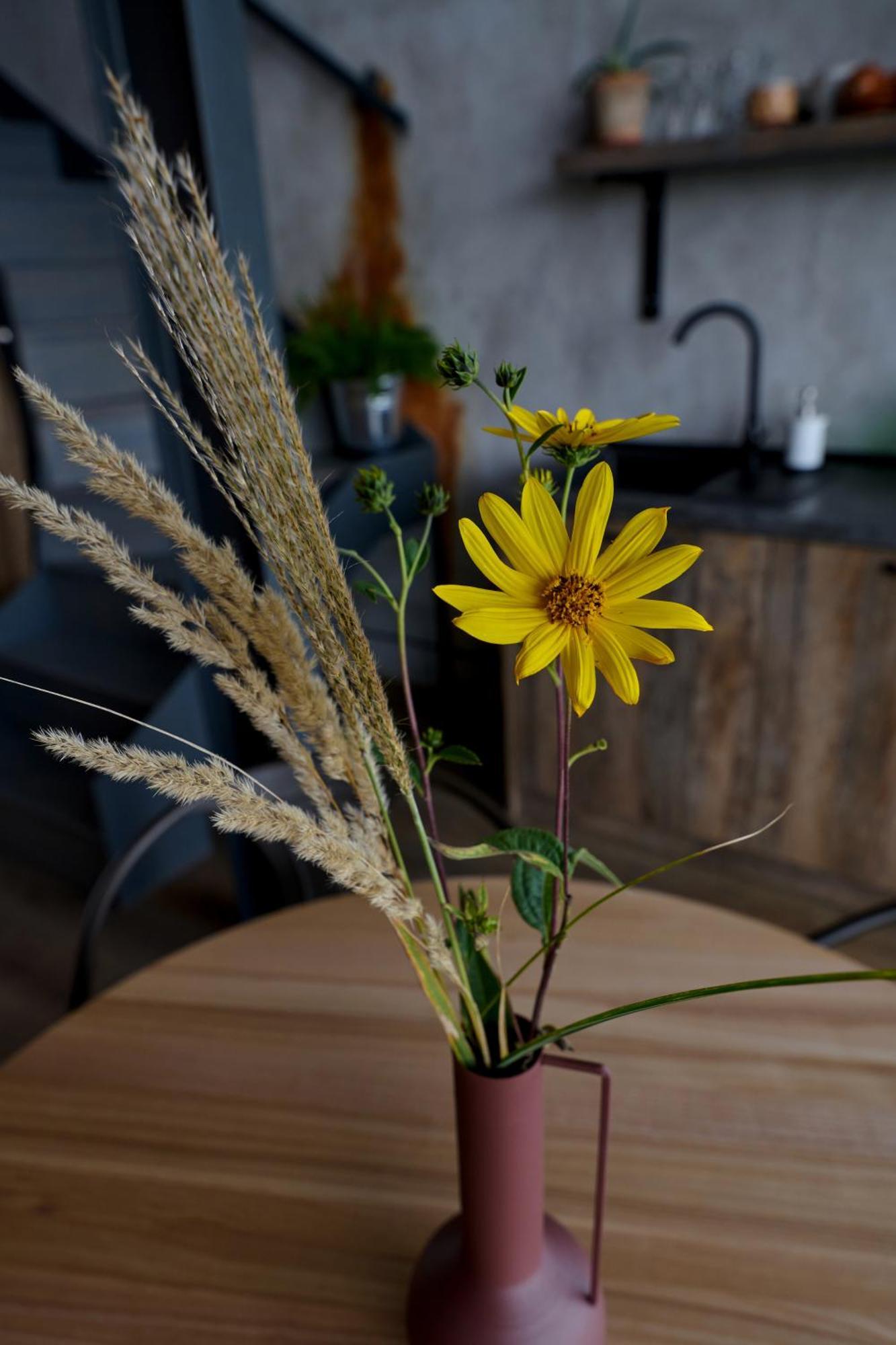 Апартаменты True Love С Видом На Горы Úzhgorod Habitación foto